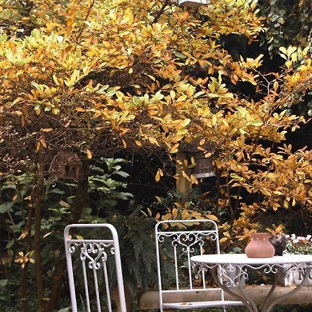 Bed & Breakfast Alle Fronde *